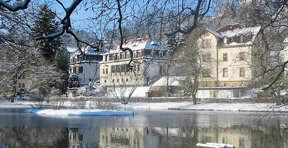 Teichhotel Schmalkalden Extérieur photo